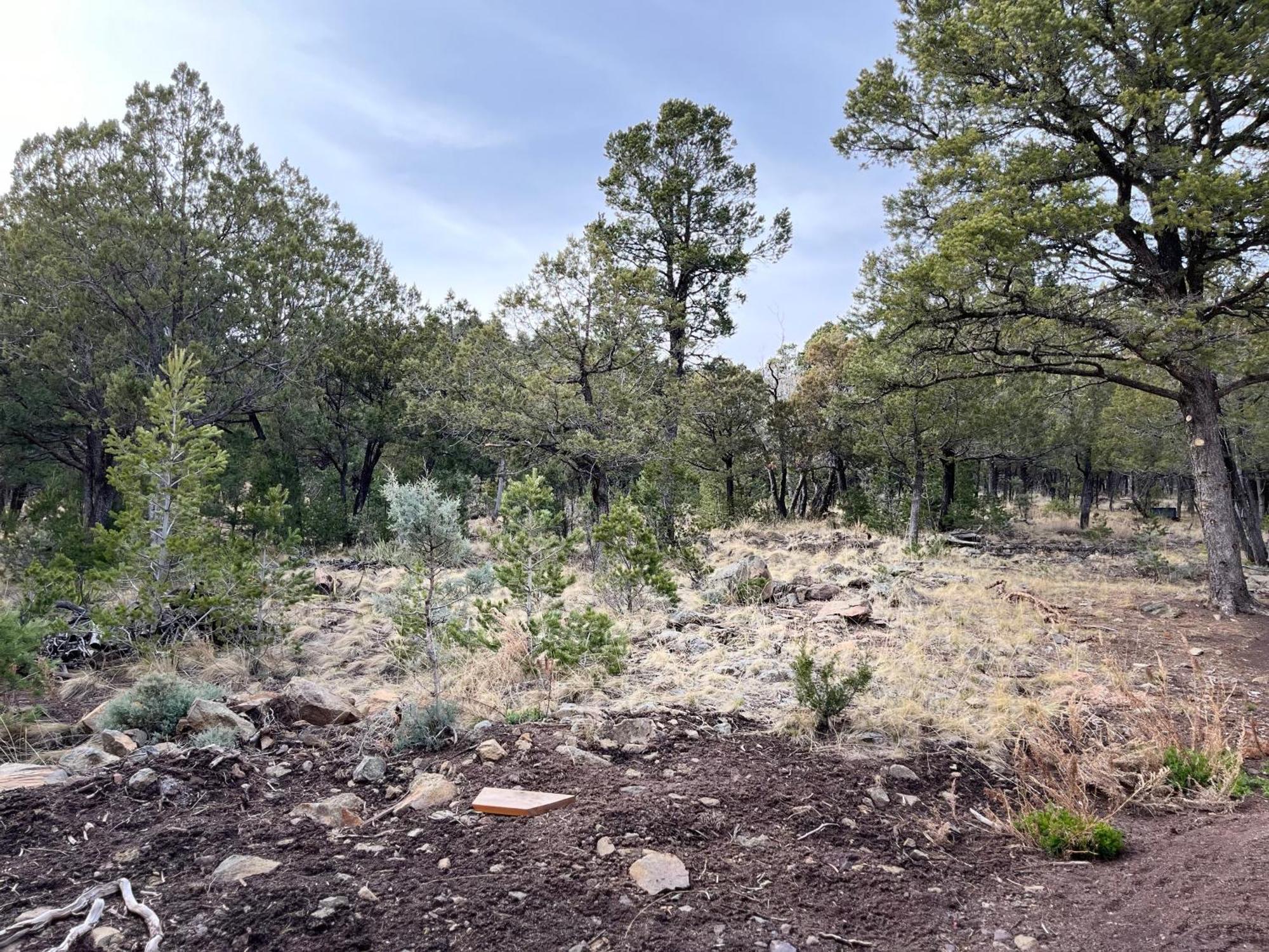 Thunder Hollow Ruidoso Exterior foto